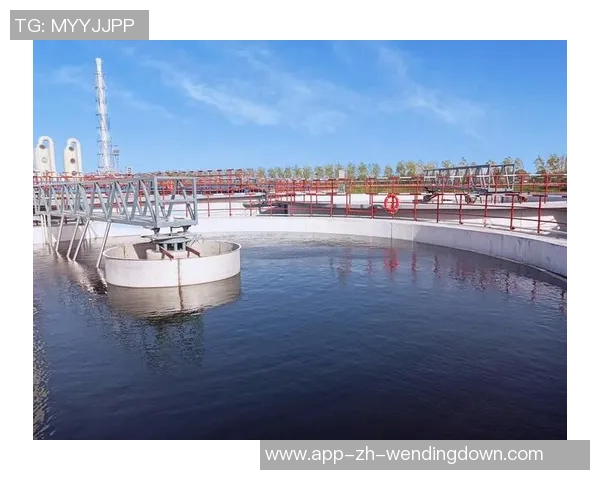 问鼎国际-问鼎国际，追求卓越，放眼全球-问鼎国际